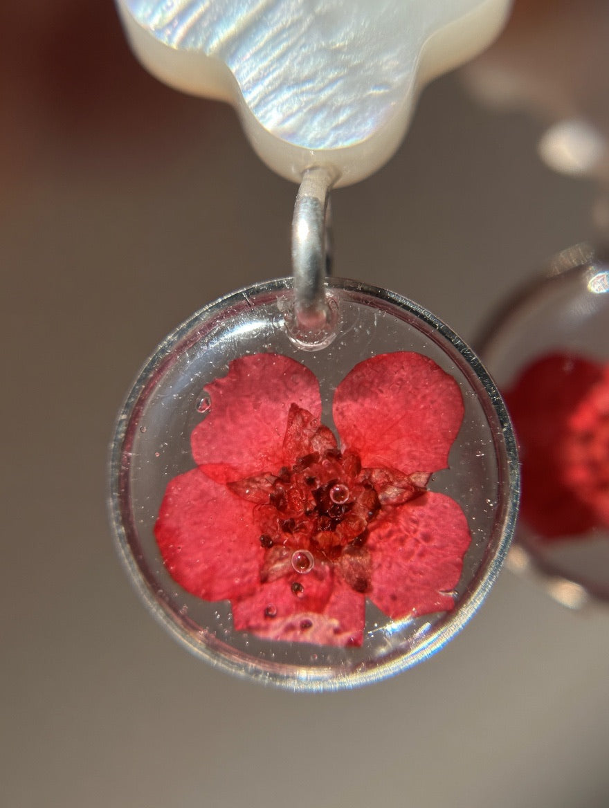 Øredobber med ekte tørkede blomster og perlemor