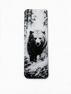Bokmerke – Mighty Bear
