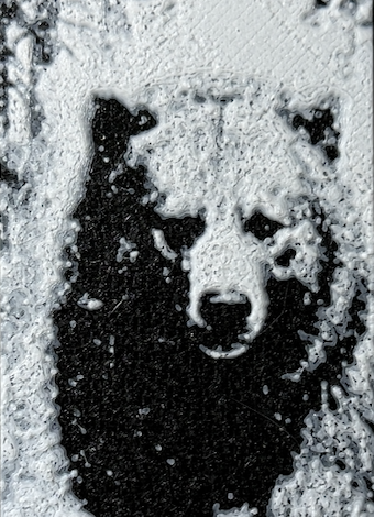 Bokmerke – Mighty Bear