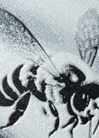 Bokmerke – Bie