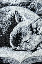 Bokmerke – vinterleser
