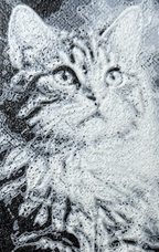 Bokmerke – Stille observatør