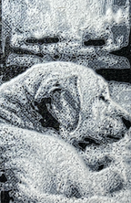 Bokmerke – Fireside Rest