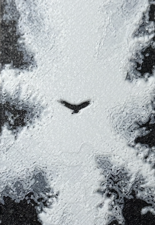 Bokmerke – Ørneblikk