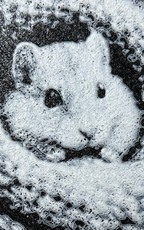 Bokmerke – snølommehamster