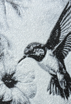 Bokmerke – Kolibri