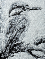 Bokmerke – isfugl