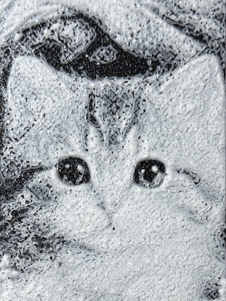 Bokmerke – nysgjerrig kattunge