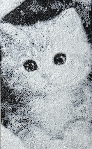 Bokmerke – Innpakket kattunge