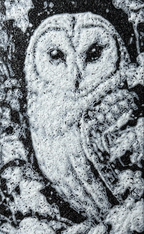 Bookmark - Barn Owl