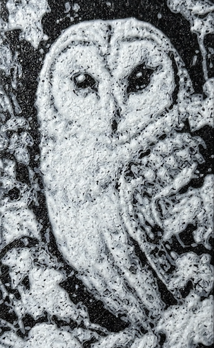 Bokmerke – tårnugle