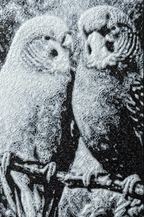 Bokmerke - Papegøyepar