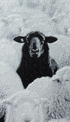 Bookmark - Black Sheep