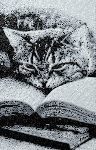 Bokmerke - Søvnig katt