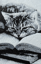 Bokmerke - Søvnig katt