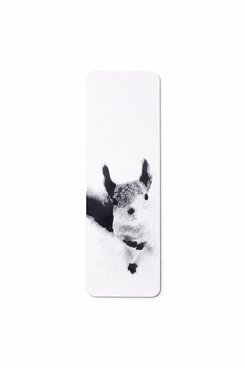 Bookmark - Curious Squirrel
