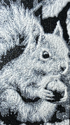 Bokmerke - Ekorn og Nøtt