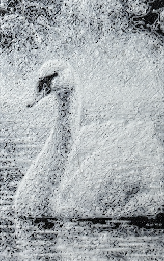 Bokmerke - svane