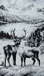 Bookmark - Tromsø